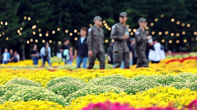 추석연휴 둘째날도 흐리고 비…낮 최고 23∼28도