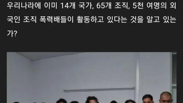 [스압] 국내에서 활동하는 외국 조직폭력배들,,