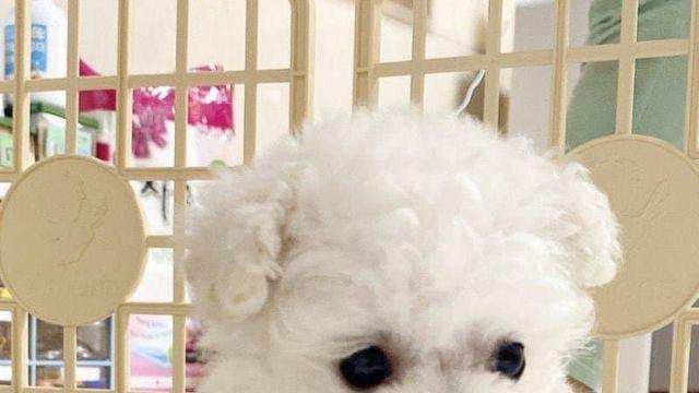 아기 때 기준으로 누가 제일 귀여운 것 같음?