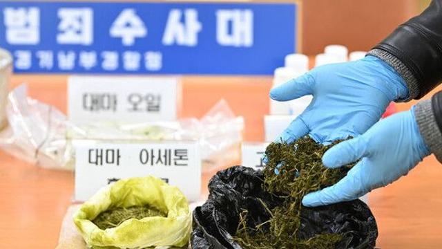 신종마약 올해 8월까지 186㎏ 적발…지난해 전체량 보다 많아