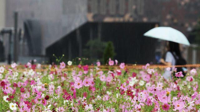 대전·세종·충남 흐리고 가끔 비…낮 최고 23∼25도
