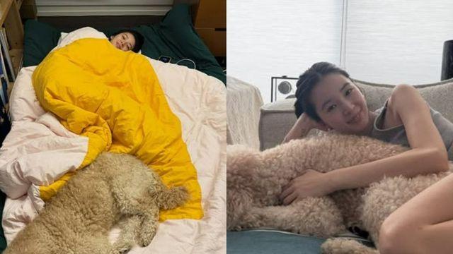 ‘5월 결혼’ 아이린, 반려견 떠났다…”나를 엄마로 받아줘서 고마워” [RE:스타]