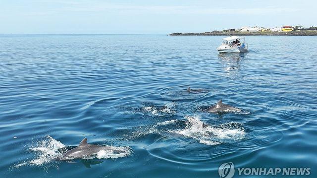 제주, 구름 많은 날씨…낮 기온 26∼30도