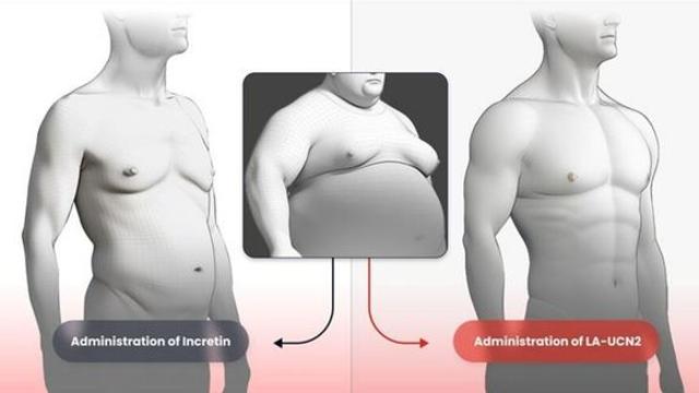 비만치료제 '게임 체인저' 기대, 한미약품 신개념 비만치료제, FDA에 임상시험계획 신청
