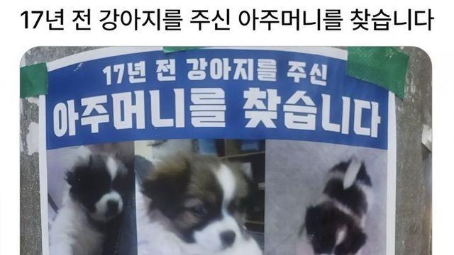 17년 전 강아지를 주신 아주머니를 찾습니다 