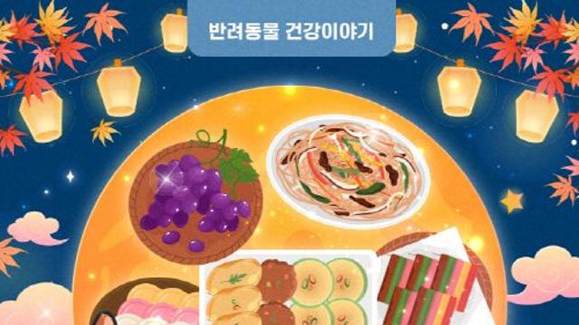[반려동물 건강이야기] 반려동물이 먹으면 독이 되는 추석음식