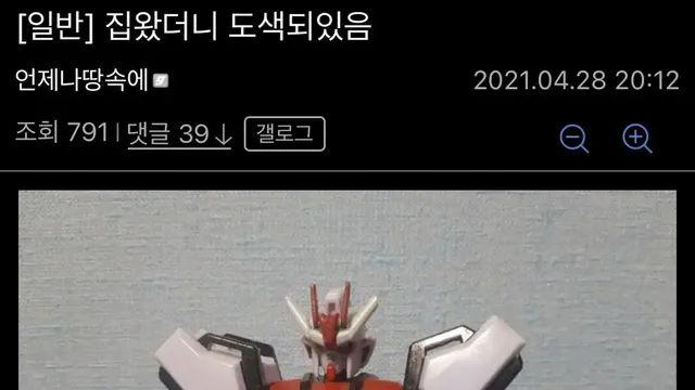명절에 조카가 내 건담을 도색함