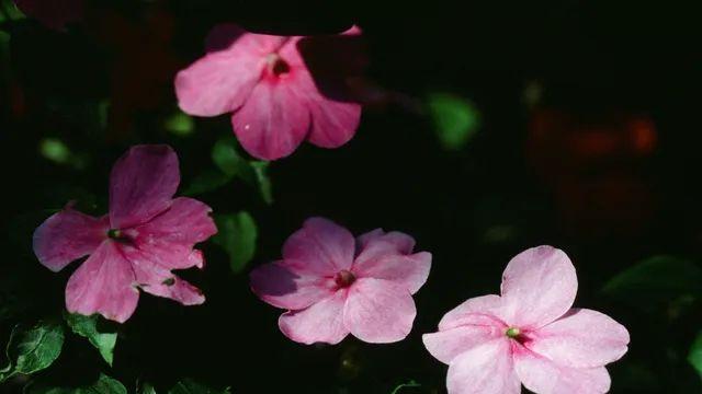 [슬라이드 풍경] 1년분량 고봉밥