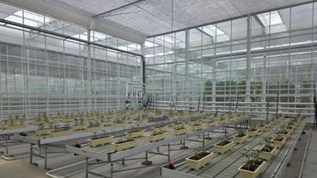 “공기 속 탄소를 농작물 양분으로!” 에코프로에이치엔, 차세대 DAC 기술 개발