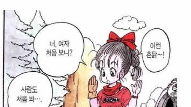 드래곤볼 다시 보면 보이는 요소