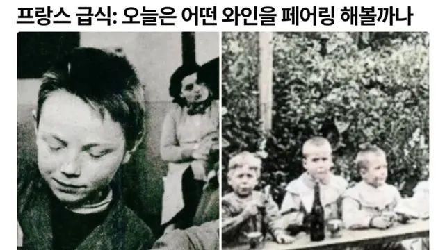 1950년대 프랑스의 급식에서 나온 것,,