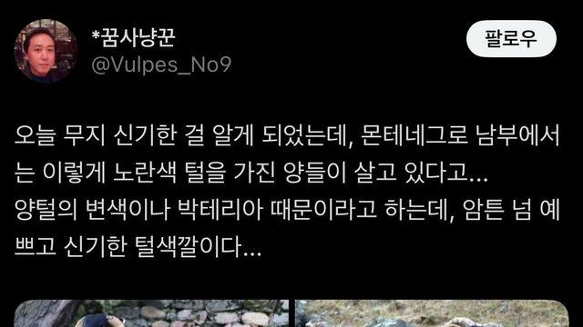 이어서 생태계 소식 전해드립니다