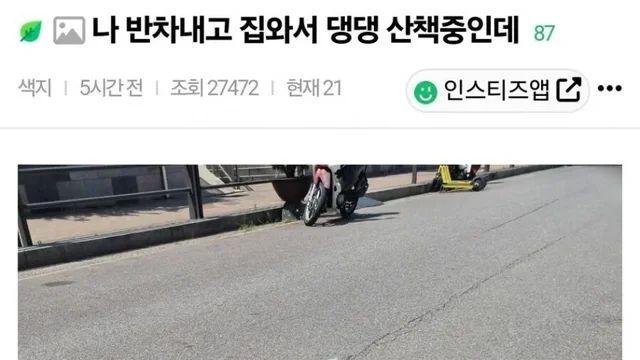 반차 쓰고 집 와서 강아지 산책중인데….,,