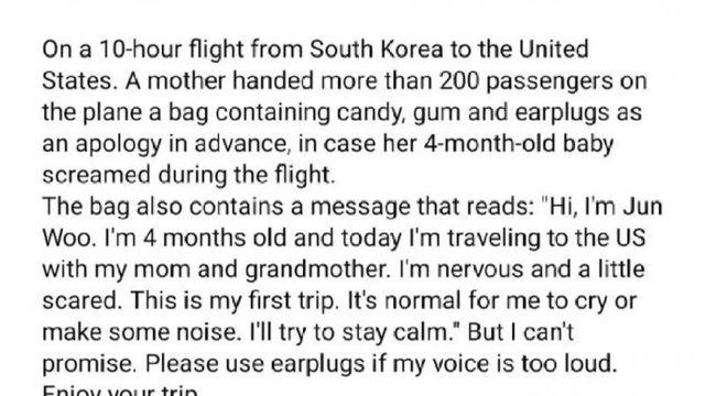 해외 커뮤에 올라온 우리나라 비행기 승객 썰.jpg