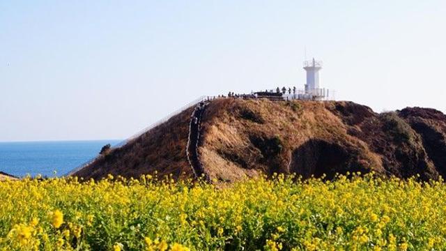 추석 명절, 제주 여행 간다는 며느리...누리꾼 갑론을박