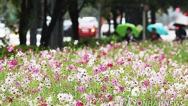 충북 흐리고 가끔 비…낮 최고 기온 18∼21도