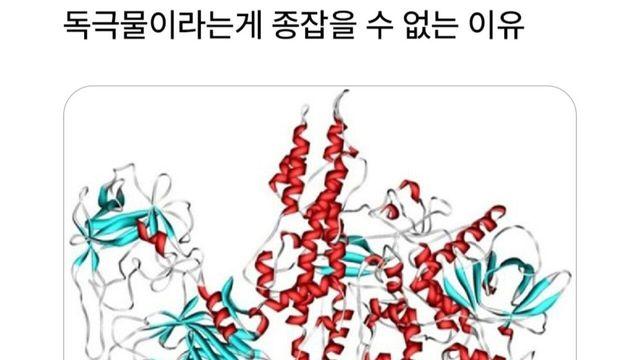 독극물이라는게 종잡을 수 없는 이유 