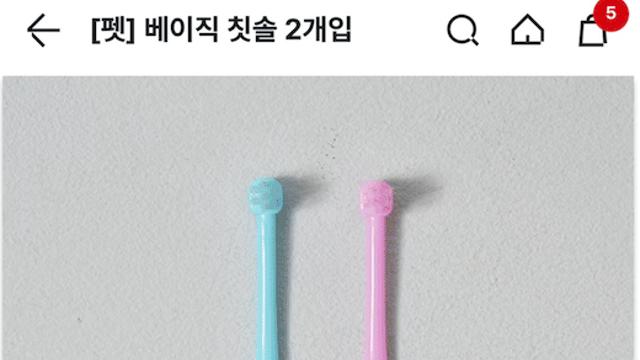 다이소에 팔기 시작한 펫용품들 가격
