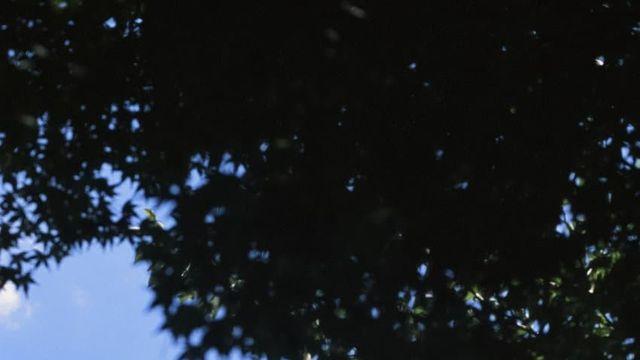 [슬라이드 풍경] 막차 달린다잇