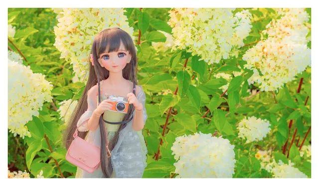 @인형] 님들 늦여름에 사에 인형 사진 찍어온거 좀 보고가셈