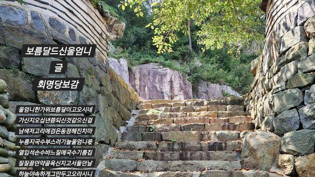 [보감과의 동행140]  보름달드신울엄니