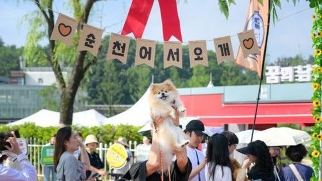 '댕댕이와 가을 여행'…순천, 반려동물 동반 행사 풍성