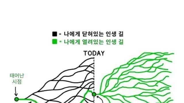 내 인생이 망했다고 생각이 들때 보면 좋은것,,