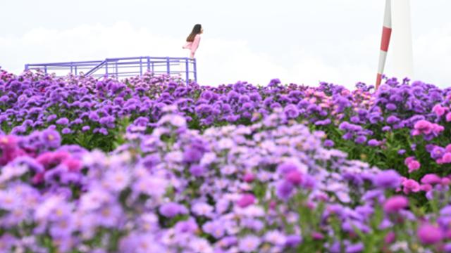 부산·울산·경남 흐리고 가끔 비…예상 강수량 ‘5㎜’ 안팎