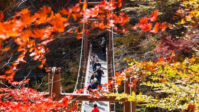 추석연휴·단풍철 산행 '실종·조난'…