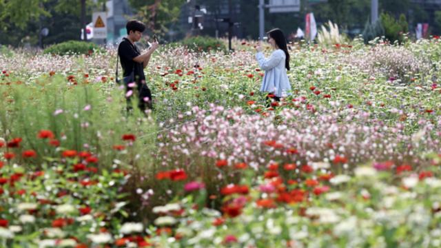 추석 전날 대부분 지역 가끔 비…미세먼지 농도는 ‘좋음’