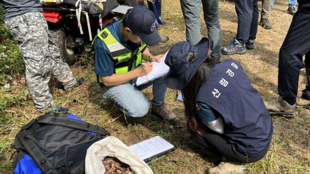 1kg에 140만 원 돌파한 '산속 보물' 식재료…잘못 캐면 5000만 원 벌금 폭탄 뭅니다