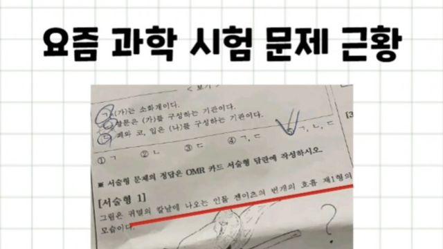 귀멸의칼날 요즘 근황
