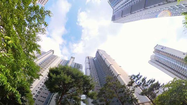 길고양이 아니다... 도심 비둘기 과번식 막아주는 '뜻밖의 야생 동물'