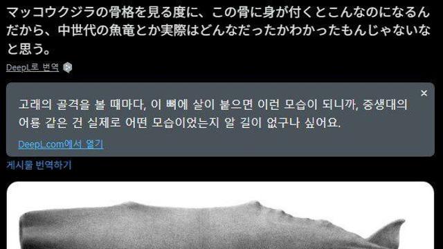 ??? : 화석 복원 그거 그냥 실제랑 완전 다른거잖아 