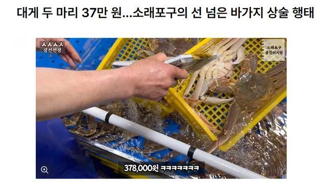 대게 37만원 눈탱이 씌우던 소래포구 근황