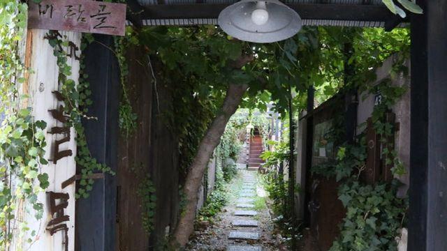 추석엔 여기서 ‘찰칵’…부산부터 담양까지 인생샷 명소 ‘총정리’