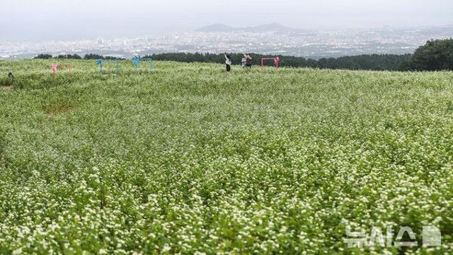 제주, 대체로 흐리고 기온 높아…