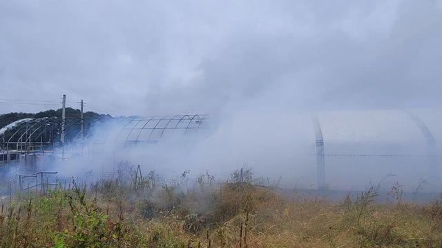 인천 비닐하우스 화재, 1명 화상…전기적 요인 추정