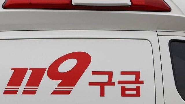추석 연휴 날벼락...완주서 야생 버섯 먹은 5명 구토·복통, 병원 이송