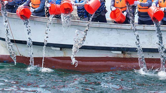 일본이 쓸어가는 중…'2954톤' 역대 최고 수출량 찍은 ‘한국 대표 수산물’
