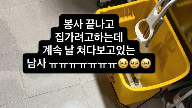 강아지 공장에서 50마리 출산한 번식견 입양한 아옳이