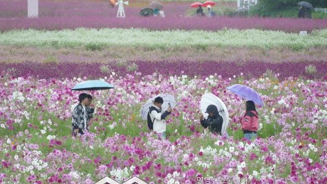 날씨, 서울 낮최고기온 18도 