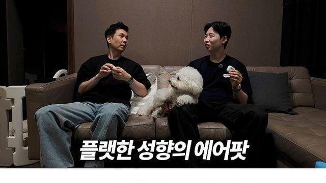애플 에어팟의 소리가 표준인 이유