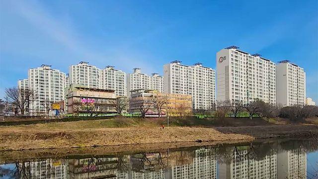 천연기념물 수백마리가 아파트 단지 바로 옆에서... 시선 집중