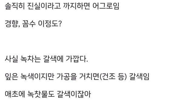말차(녹차) 색깔의 진실 