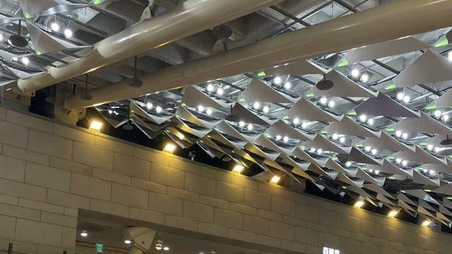 지난 겨울 8박 9일 제주도 여행 후기 [장문] (상)
