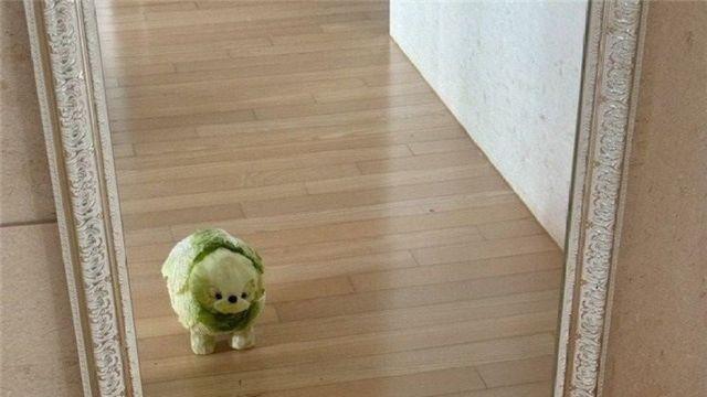 어느 푸드 스타일리스트의 기발한 작품들