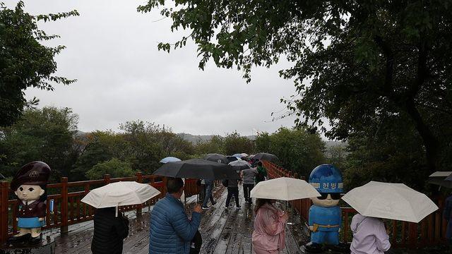 [날씨] 절기상 한로에 곳곳 가을비…귀경길 빗길 주의