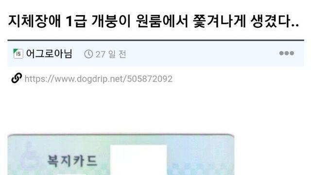 원룸에서 쫓겨난 지체장애 1급 장애인