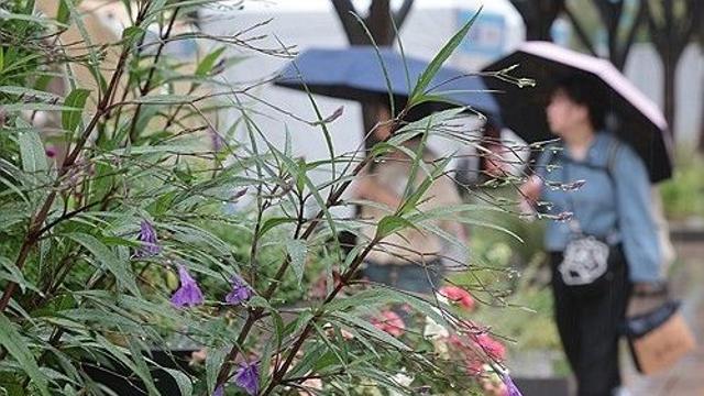 대구·경북 흐리고 가끔 비…낮 최고 27도